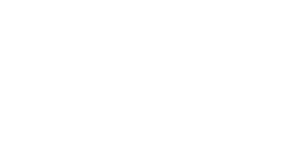 Centerstone_Logo_2020_white_300X300